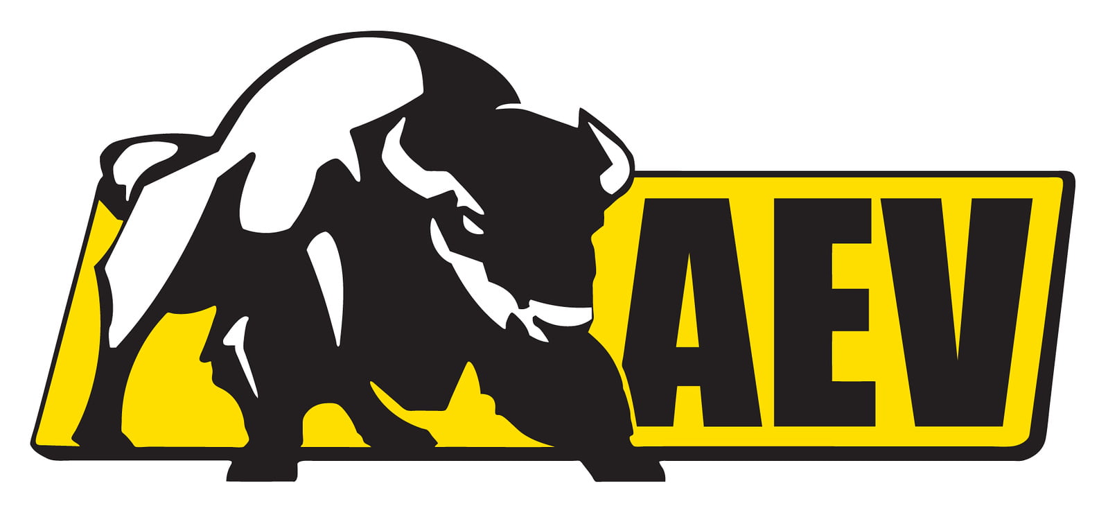AEV: Sospensione DualSport RT da 2,5'' a 3'' per Gladiator JT 2019+